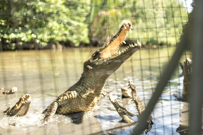 Small-Group Tour to Can Gio Vam Sat Mangrove Forest - Lunch at a local eco-restaurant