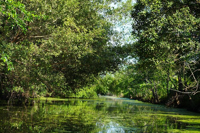 Southern Forest Tour – Explore Hau Giang Nature - Stork nests and the best chance for wildlife