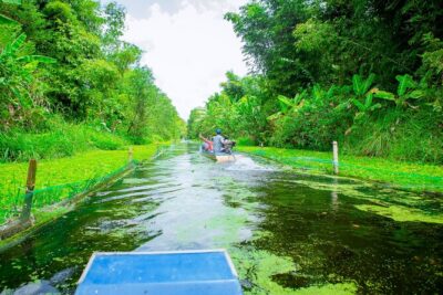 Southern Forest Tour – Explore Hau Giang Nature