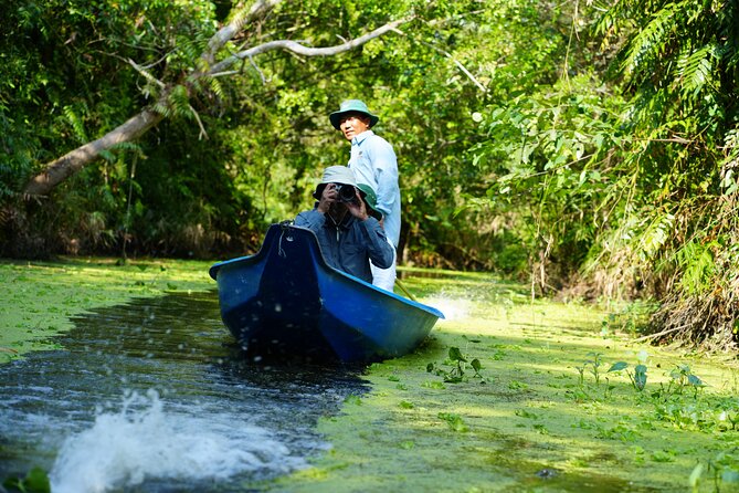 Southern Forest Tour – Explore Hau Giang Nature - A short walk through forest and rice country