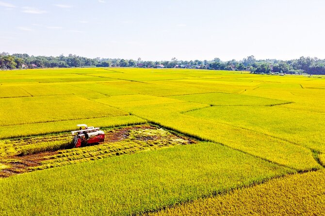 Standard 1 Day Cu Chi Tunnels & Mekong Delta - The road to Cu Chi