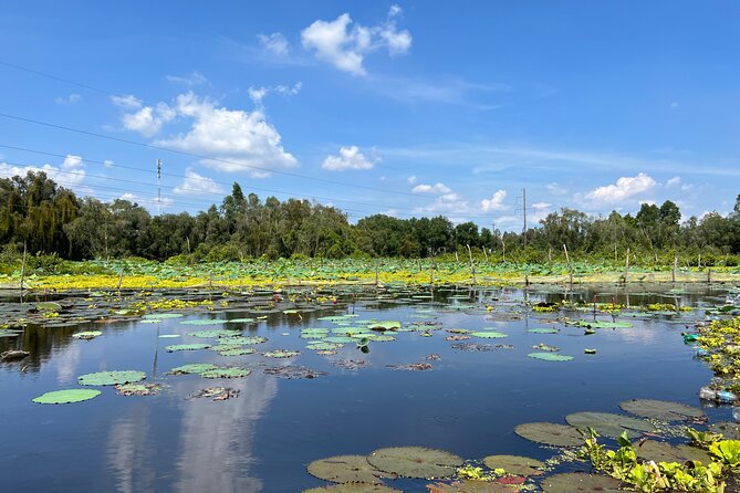 Tan Lap Floating Village Authentic Mekong Delta Nature Tour - Walking the Melaleuca Forest bridges