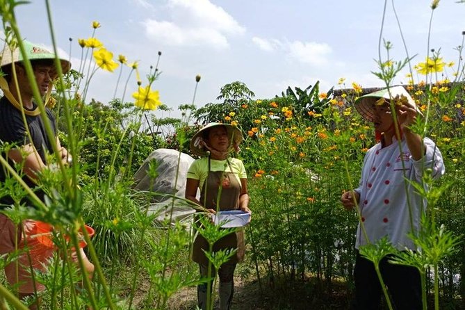 Unique farm to Table cooking class in Saigon - Four Vietnamese dishes at your own station