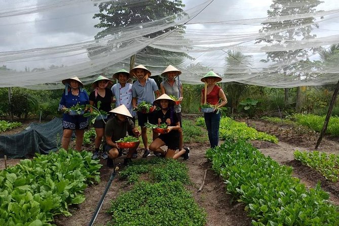 Unique farm to Table cooking class in Saigon - Picking herbs, vegetables, and mushrooms