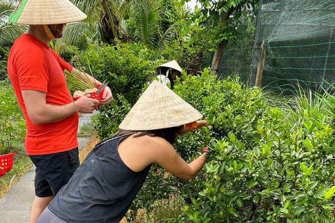 Unique Farm to Table Cooking Class with Top Chef in Vietnam - The Meal Is Part of the Reward