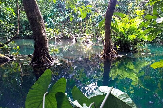 Vam Sat Mangrove Forest - VIP Private Tour - The 26-meter tower and the wider view