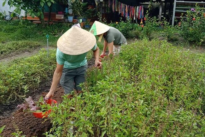 Vietnamese Cooking Class and Cu Chi Tunnels Tour from Ho Chi Minh City - Who will enjoy this day most?
