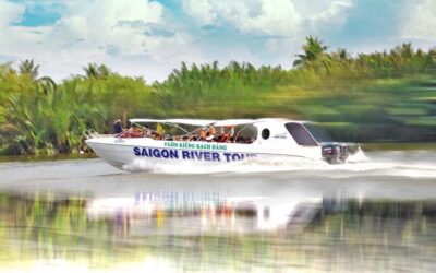 VIP Tour Authentic Mekong Delta & Local pagoda by SpeedBoat