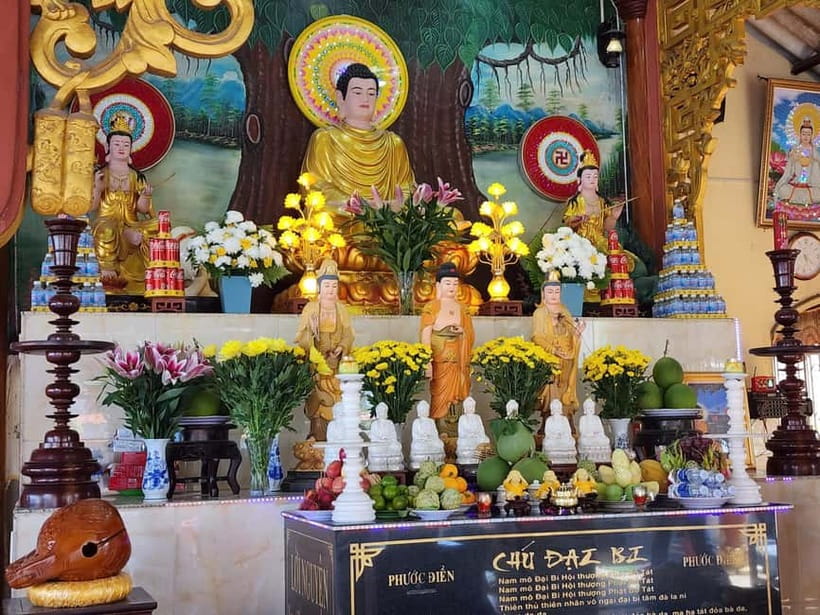 VIP Tour Authentic Mekong Delta & Local pagoda by SpeedBoat - Who will enjoy this day most?