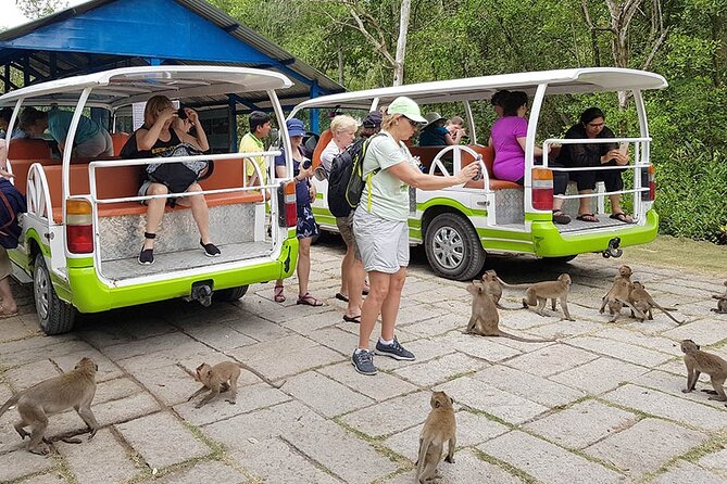VIP Tour in Vam Sat: Can Gio Mangrove Forest by SpeedBoat - What makes Can Gio worth the trip