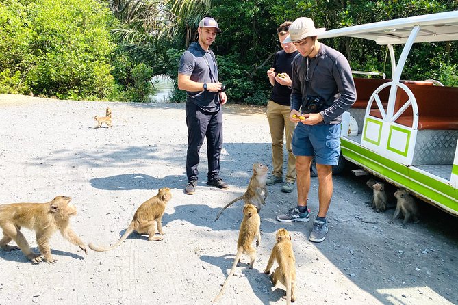 VIP Tour in Vam Sat: Can Gio Mangrove Forest by SpeedBoat - Is $350 a fair price?